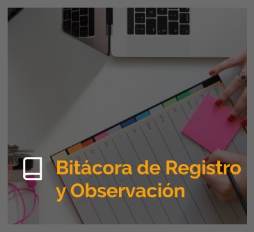 Bitácora de Registro y Observación