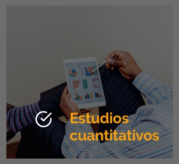 Estudios Cuantitativos