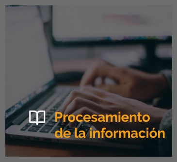 Procesamiento de la información